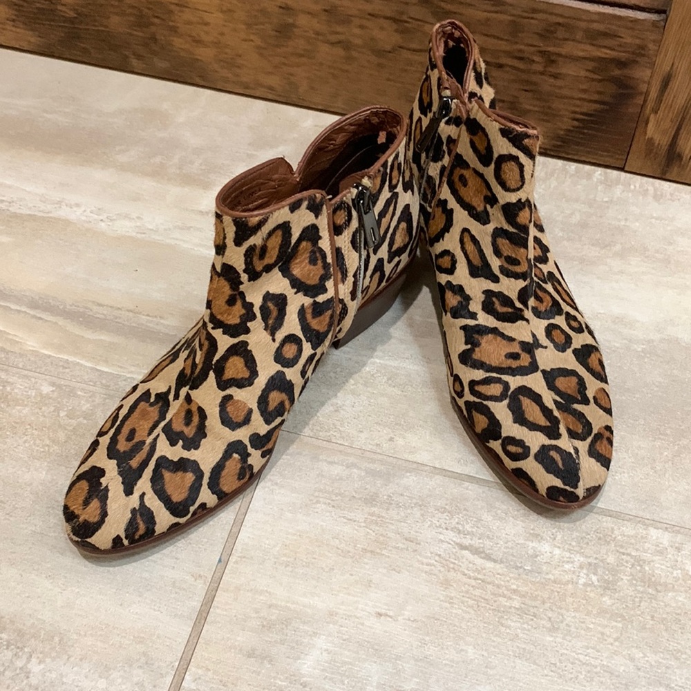 Sam Edelman Petty Bootie in leopard print.